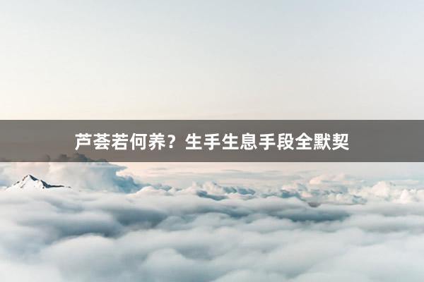 芦荟若何养？生手生息手段全默契